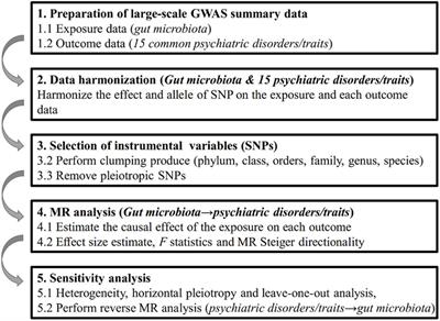 Gut Microbiota and Psychiatric Disorders: A Two-Sample Mendelian Randomization Study